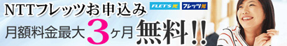NTT�掟���T�[�r�X