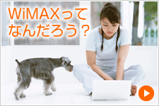 WiMAXってなんだろう？